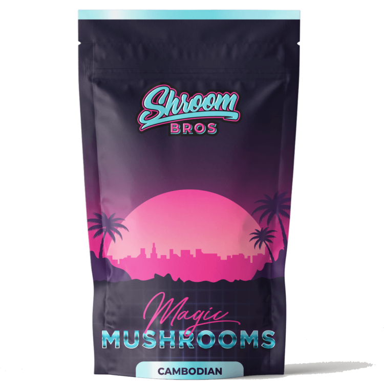 DADDY LONG LEGS MAGIC MUSHROOM