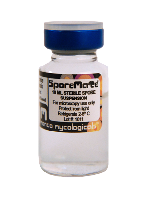 B+ cubensis spores