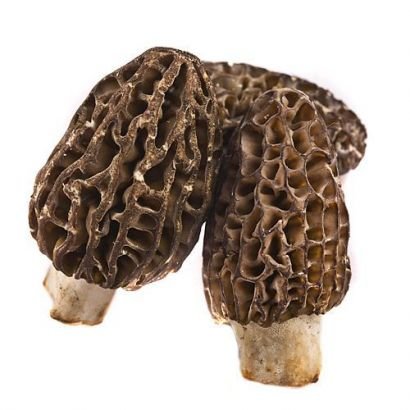 Fresh Frozen Morel Mushrooms - Image 2