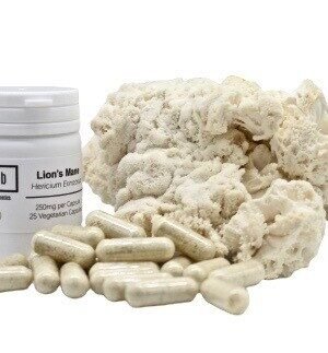 Lions Mane Supplement Capsules (500mg